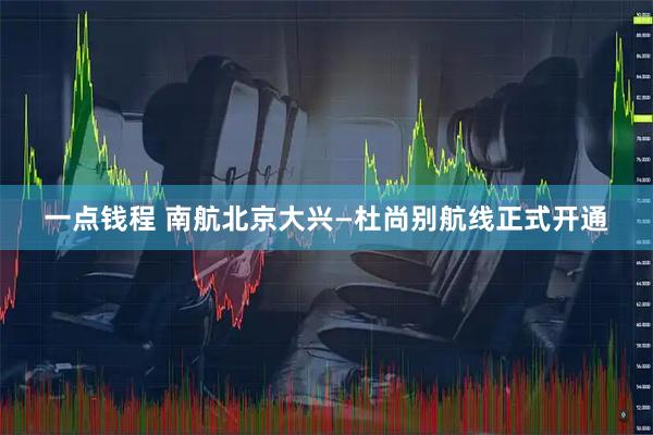 一点钱程 南航北京大兴—杜尚别航线正式开通