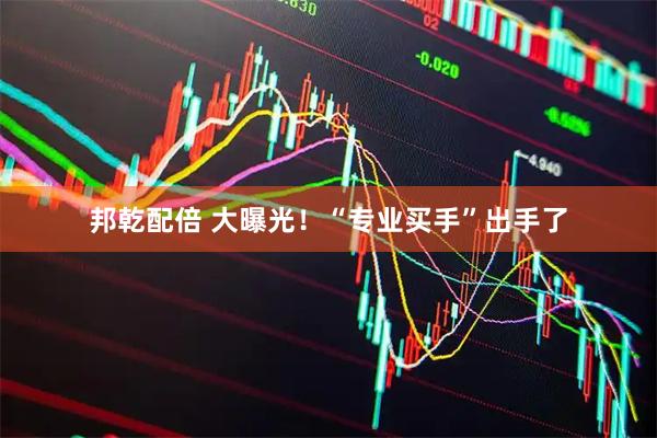 邦乾配倍 大曝光！“专业买手”出手了