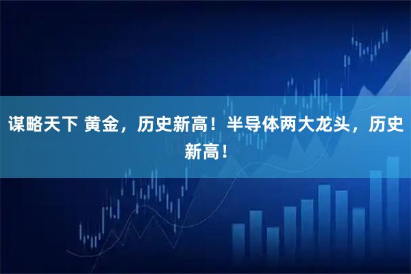 谋略天下 黄金，历史新高！半导体两大龙头，历史新高！