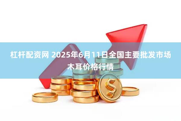 杠杆配资网 2025年6月11日全国主要批发市场木耳价格行情