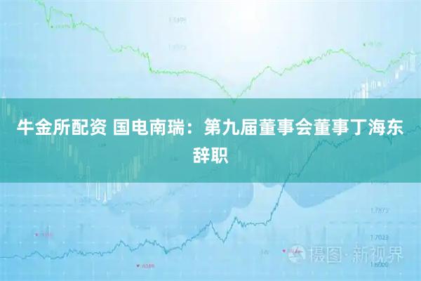 牛金所配资 国电南瑞：第九届董事会董事丁海东辞职