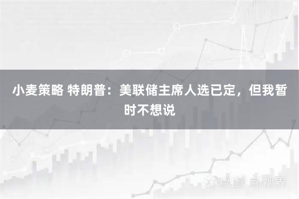小麦策略 特朗普：美联储主席人选已定，但我暂时不想说