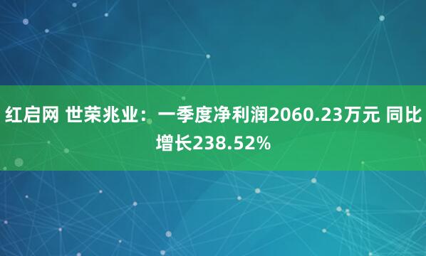 红启网 世荣兆业：一季度净利润2060.23万元 同比增长238.52%