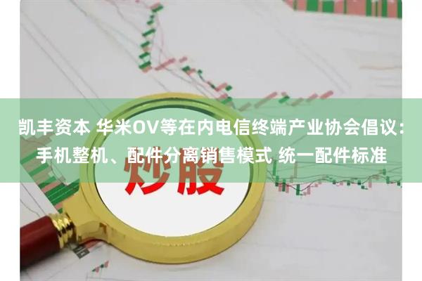 凯丰资本 华米OV等在内电信终端产业协会倡议：手机整机、配件分离销售模式 统一配件标准