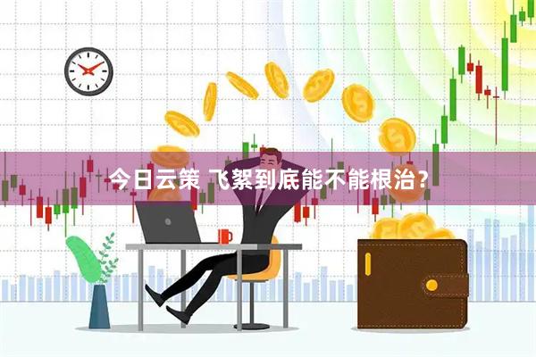 今日云策 飞絮到底能不能根治？