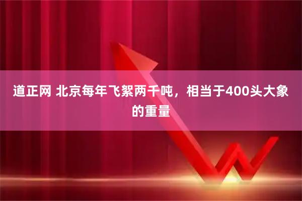 道正网 北京每年飞絮两千吨，相当于400头大象的重量